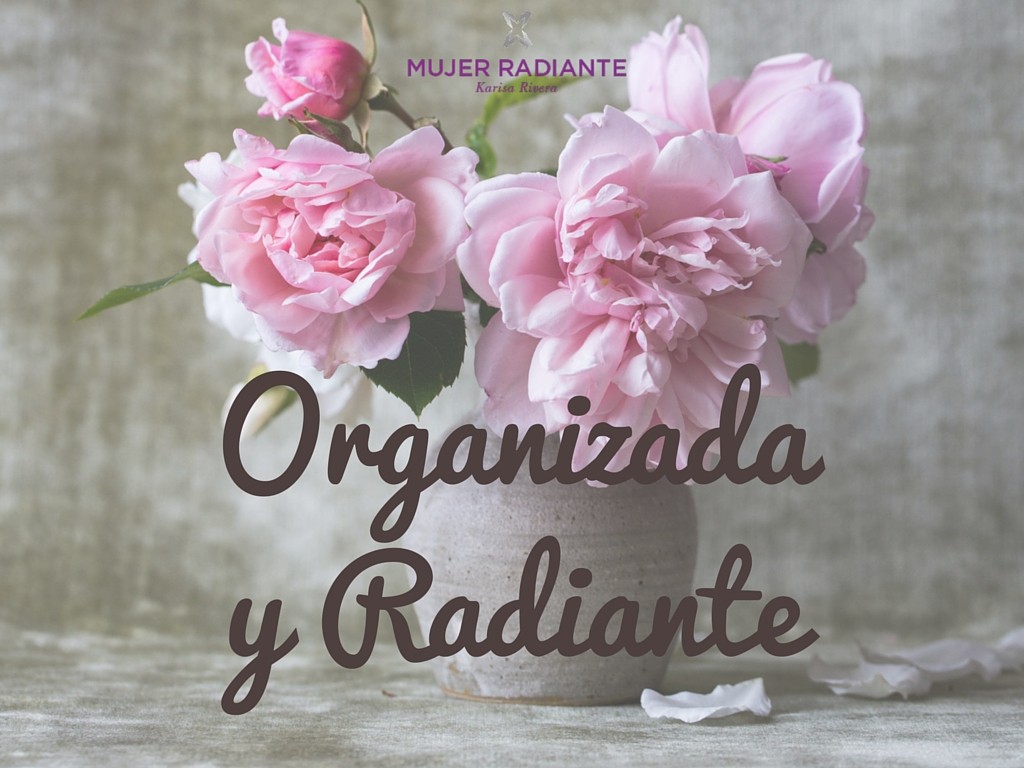 Organizaday Radiante (5)